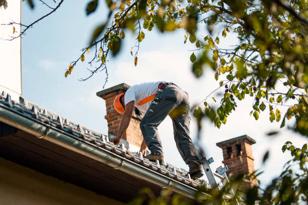 Best Local Roofing Companies  in Roseville, OH