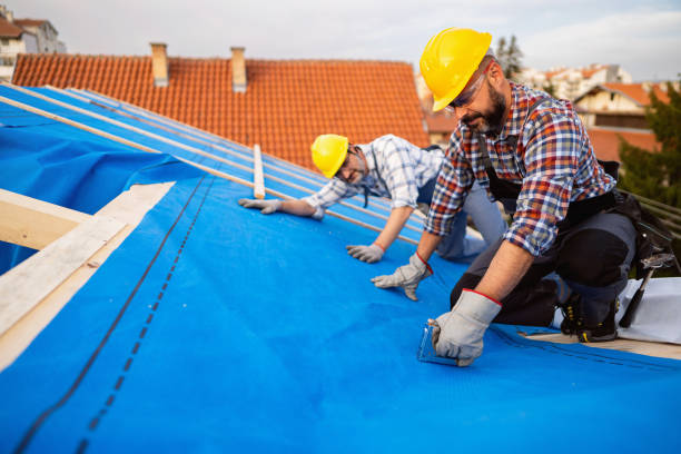 Best Roof Leak Repair  in Roseville, OH